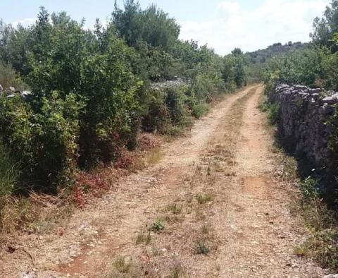 Agroland von mehr als 1,5 Hektar in der Region Vodice, großes Potenzial - foto 9