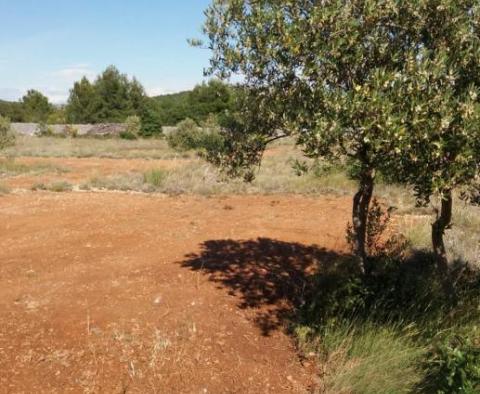 Agroland von mehr als 1,5 Hektar in der Region Vodice, großes Potenzial - foto 10