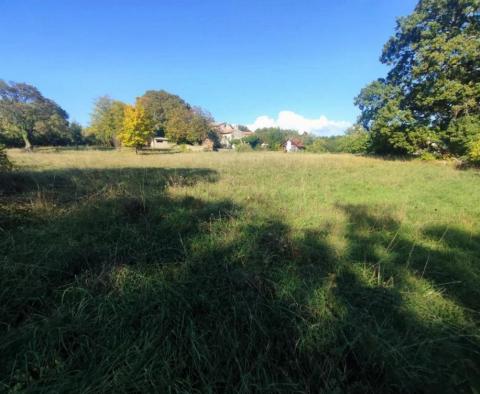 Maison en pierre dans la région de Labin avec terrain de 3956 m². - pic 7