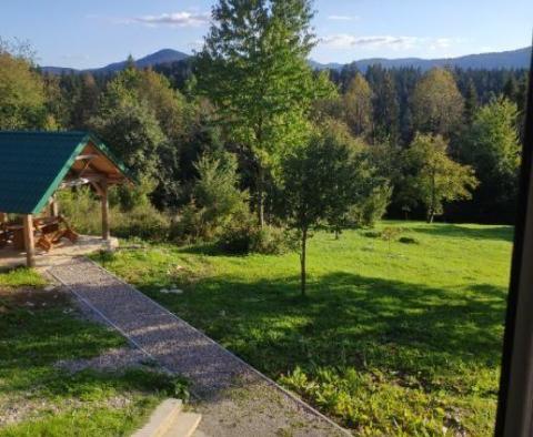 Beautiful house in Vrbovsko on 8000 sq.m. of land - pic 3