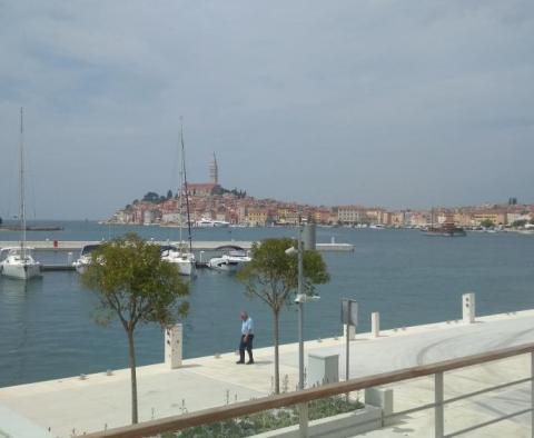 Spacious estate in Rovinj area, walking distance from the sea, on 11000 sq.m. of land - pic 15