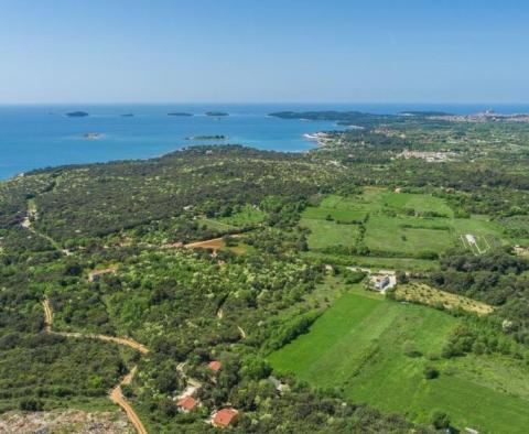 Outstanding offer - house in Rovinj outskirts within greenery just 300 meters from the sea - pic 2