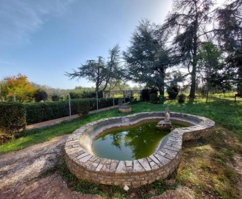Villa of 330 sq.m. in Brtonigla on more than hectare of land - pic 15