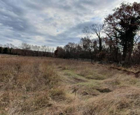 Attractive urbanized land plot for sale in Bale over 1 hectare. - pic 2