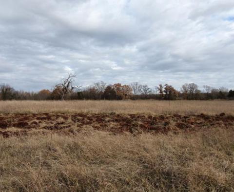 Attractive urbanized land plot for sale in Bale over 1 hectare. - pic 3