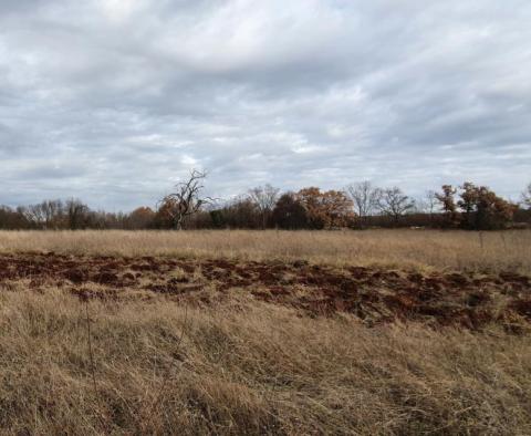 Attractive urbanized land plot for sale in Bale over 1 hectare. - pic 4