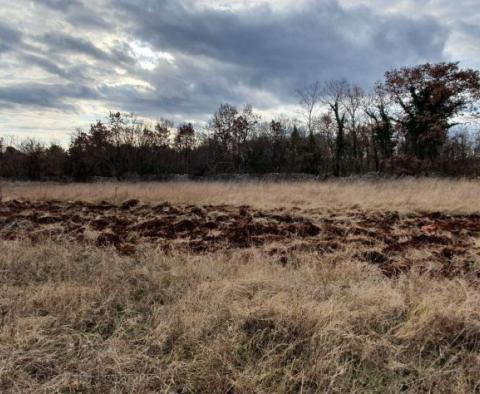 Attractive urbanized land plot for sale in Bale over 1 hectare. - pic 6