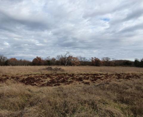 Attractive urbanized land plot for sale in Bale over 1 hectare. - pic 16