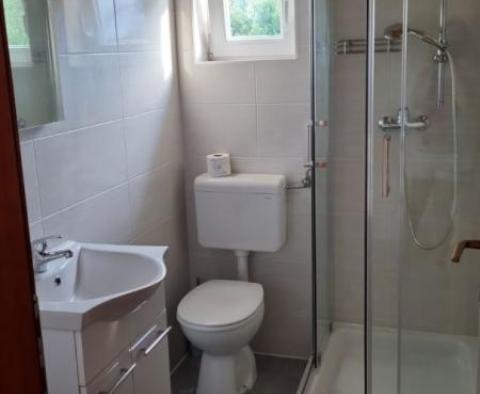 Maison en pierre avec plusieurs appartements à Brtonigla - pic 20