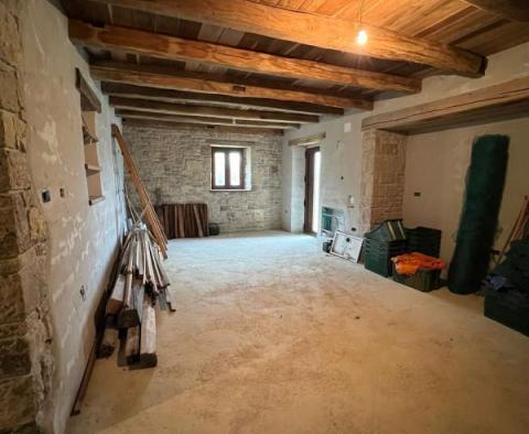 Unikalny kompleks gruntów w Motovun - pic 9