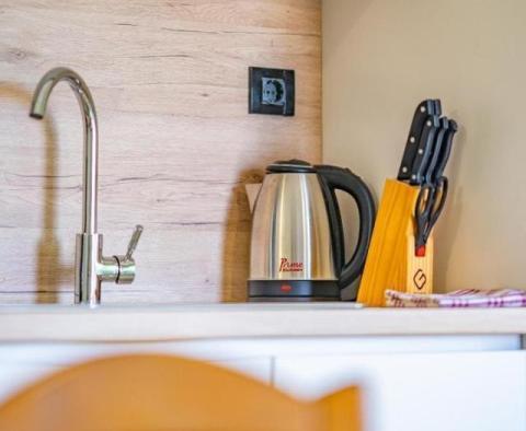 10 apartmanos apartmanház Bibinjében - pic 19
