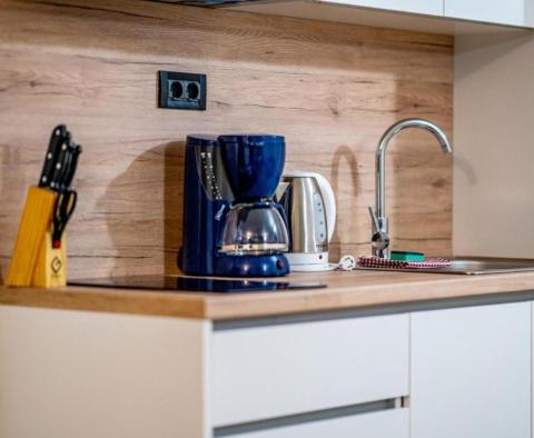 10 apartmanos apartmanház Bibinjében - pic 32