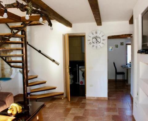 Villa mit Swimmingpool in Momjan, Buje - foto 11