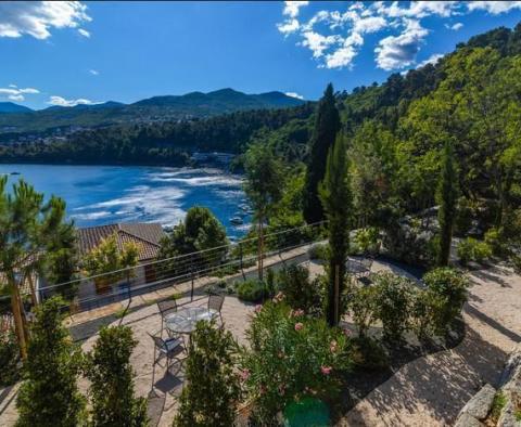Un palais de 1ère ligne récemment rénové à Opatija avec piscine propose des appartements à vendre - pic 12