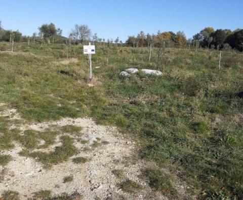 Dům s vinicí v oblasti Rovinj, 1700 metrů od moře - pic 5