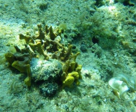 Дом в Медулине, всего в 140 метрах от моря - фото 25