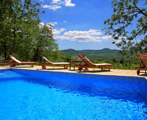Zwei Steinhäuser mit Swimmingpool und Blick auf Motovun in Oprtalj - foto 4