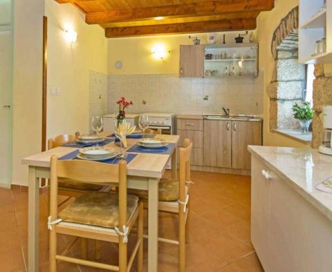 Rustikální dům obklopený přírodou v oblasti Labin, skrytá krása - pic 14