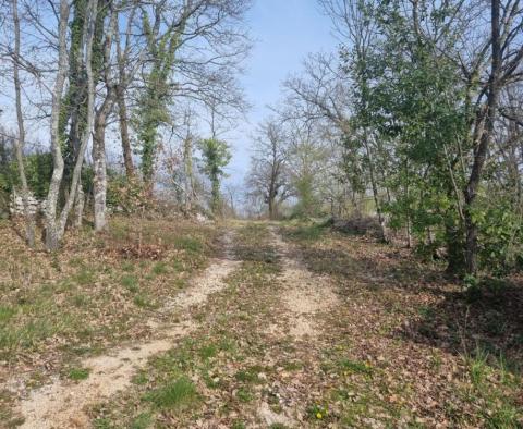 Gemütliches Haus in Jakovici, Tinjan, inmitten der Frühlingsblüte - foto 4