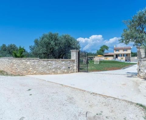 Villa dans le quartier de Fažana avec piscine et verdure autour, sur 2300 m². terrain - pic 48