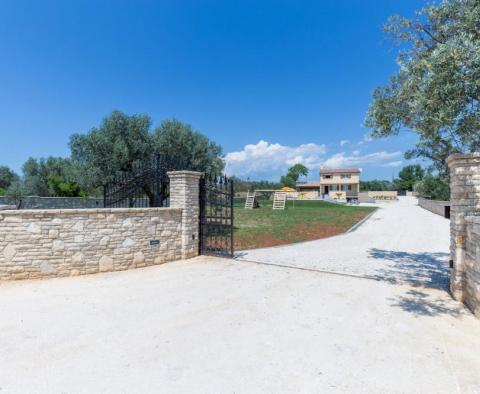 Villa dans le quartier de Fažana avec piscine et verdure autour, sur 2300 m². terrain - pic 49