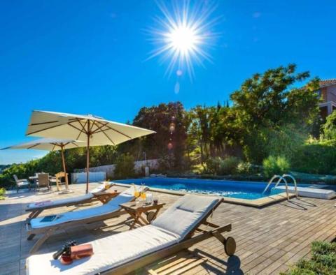 Beautifully isolated 1st line villa on a romantic island close to Dubrovnik! - pic 3