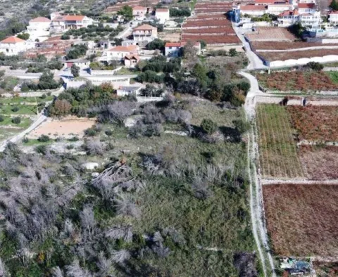 Kombinace stavebních a zemědělských pozemků na Pelješaci- 1. linie k moři - pic 4
