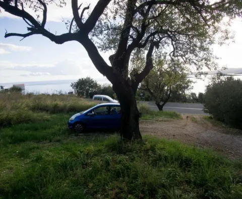 Kombinace stavebních a zemědělských pozemků na Pelješaci- 1. linie k moři - pic 5