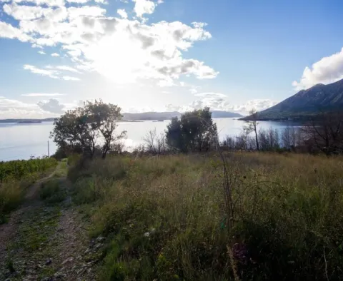 Kombinace stavebních a zemědělských pozemků na Pelješaci- 1. linie k moři - pic 7