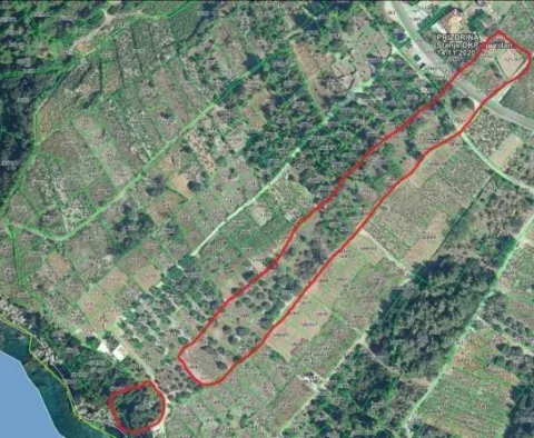 Kombinace stavebních a zemědělských pozemků na Pelješaci- 1. linie k moři - pic 8 Kombinace stavebních a zemědělských pozemků na Pelješaci- 1. linie k moři - pic 8