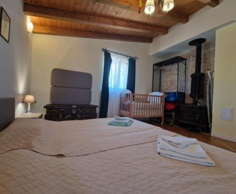 Beautiful stone Istrian villa in Svetvincenat - pic 42