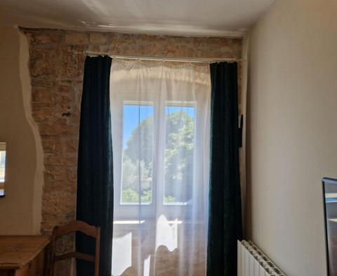 Beautiful stone Istrian villa in Svetvincenat - pic 53