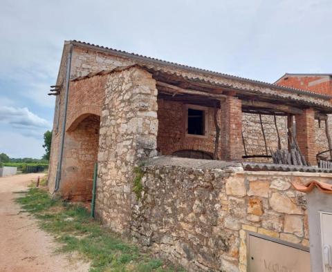 House in Brtonigla - pic 2
