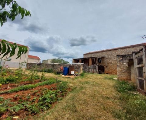 House in Brtonigla - pic 9