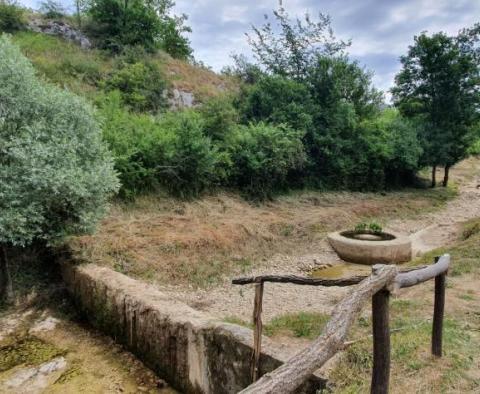 Resort, hotel, restaurant, apartments, camp, land complex of T1, T2, T3 in Motovun area - on 32.227 m2 of land - pic 79