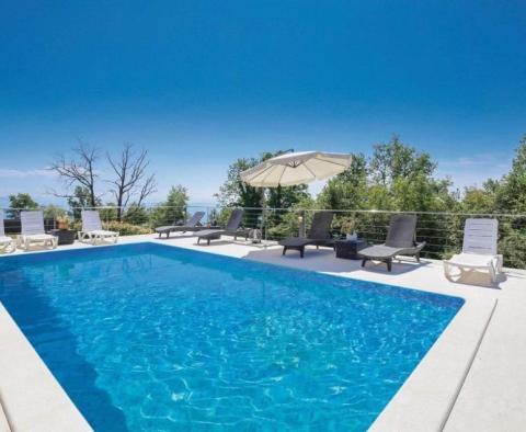 Wunderschöne Villa in Poljane, Opatija, wundervolle, sehr private Lage - foto 6