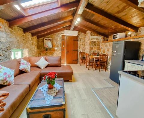 Wunderschöne Villa in Poljane, Opatija, wundervolle, sehr private Lage - foto 38