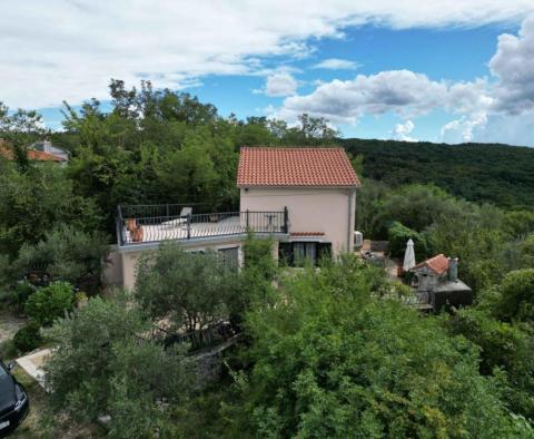 Maison dans la verdure à Dobrinj, île de Krk - pic 14