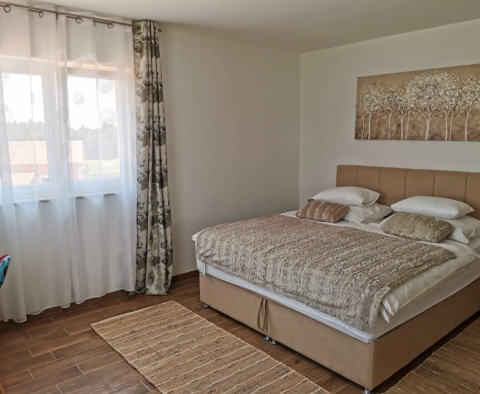 Traditional Istrian villa in Barban - pic 22