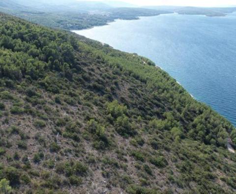 Agro land plot for sale in Jelsa area, on Hvar island - 1st line to the sea - pic 2