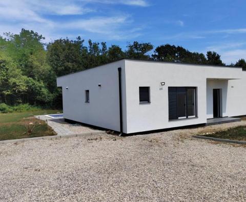 Moderní jednopatrový dům s bazénem na prodej v přírodě v Kršaně - pic 37