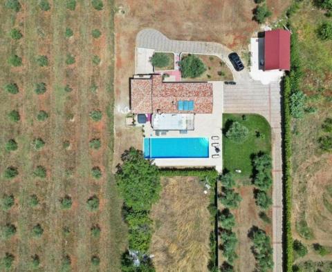 Very special villa in Novigrad area with distant sea veiws, 3 km from the sea - pic 22