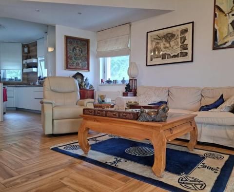 Family villa with pool and two apartments in Kostrena near Rijeka - pic 16