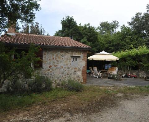 Skvělá nemovitost na prodej v oblasti Rovinj jen 1 km od moře, téměř 2 ha půdy! - pic 29