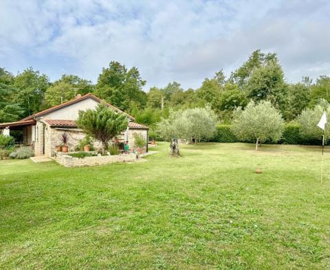 Idyllic secluded house, close to the sea in Lovrecica near Umag - pic 2