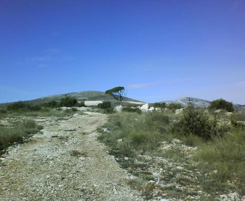 Spacious agro land abovr Trogir - pic 4