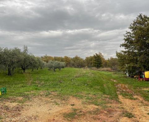 Spacious urban land in Dajla only 200 meters from the sea (T1-T2 zone) - pic 2