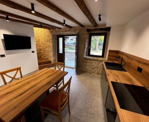 Renoviertes Steinhaus in Vizinada bei Porec - foto 5