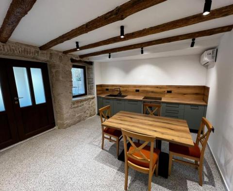 Renoviertes Steinhaus in Vizinada bei Porec - foto 11