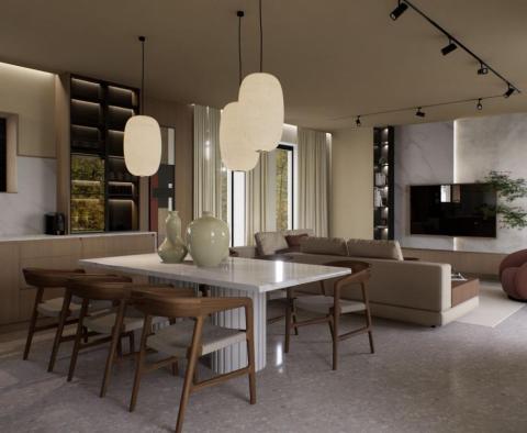 Modern villa under construction in Žminj - pic 8
